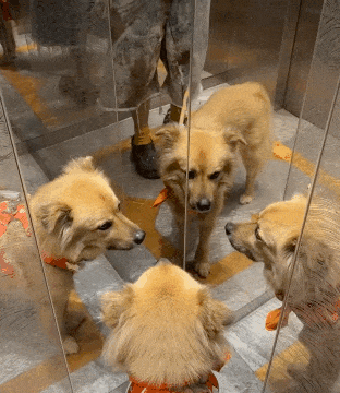 ��һ�ں���ͼ�Ʒ�ϵ�� ��Ϸ��Ů��Ҳ�ǿ��Լ�õ�