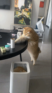 ��һ�ں���ͼ�Ʒ�ϵ�� ��Ϸ��Ů��Ҳ�ǿ��Լ�õ�