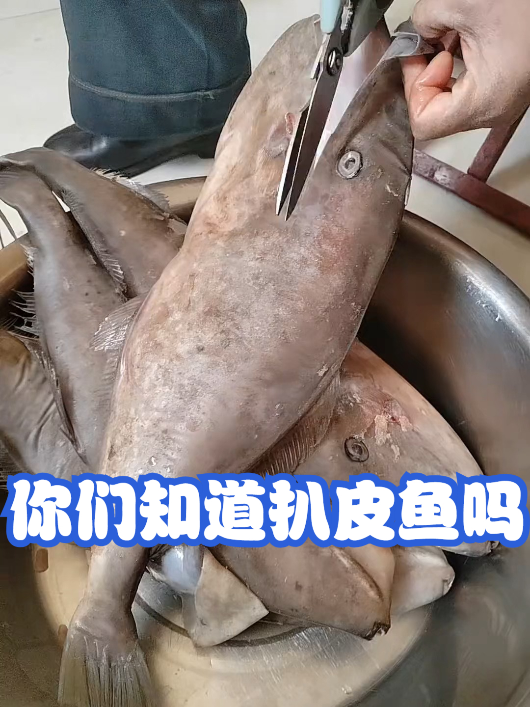 你们知道扒皮鱼吗