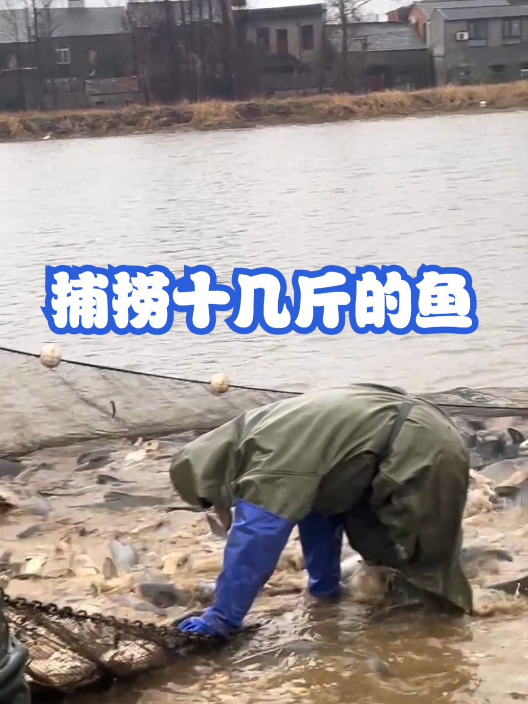 捕捞十几斤的鱼
