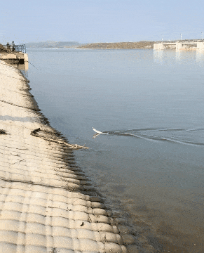 ���帣����ͼ�Ʒ�ϵ�� ˭����Ů�������ĺ�������