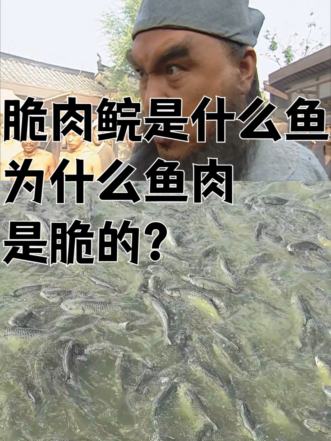 脆肉鲩是什么鱼，为什么鱼肉是脆的？