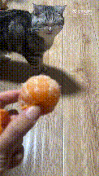 ���帣����ͼ�Ʒ�ϵ�� ˭����Ů�������ĺ�������