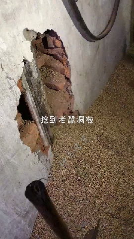 ���帣����ͼ�Ʒ�ϵ�� ˭����Ů�������ĺ�������