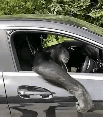 ���帣����ͼ�Ʒ�ϵ�� ˭����Ů�������ĺ�������