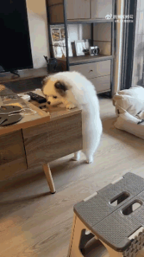 ���帣����ͼ�Ʒ�ϵ�� ˭����Ů�������ĺ�������