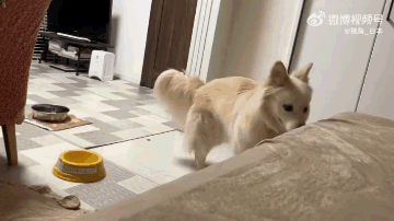 ���帣����ͼ�Ʒ�ϵ�� ˭����Ů�������ĺ�������