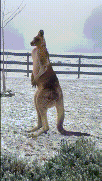 ���帣����ͼ�Ʒ�ϵ�� ˭����Ů�������ĺ�������