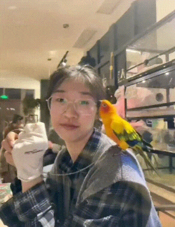 ���帣����ͼ�Ʒ�ϵ�� ˭����Ů�������ĺ�������