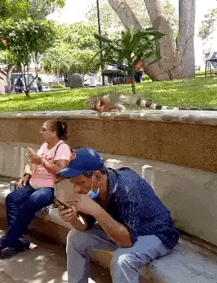 ���帣����ͼ�Ʒ�ϵ�� ˭����Ů�������ĺ�������