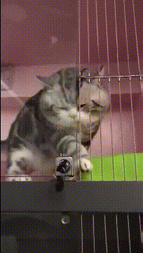 ���帣����ͼ�Ʒ�ϵ�� ˭����Ů�������ĺ�������