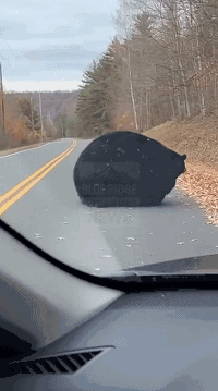 ���帣����ͼ�Ʒ�ϵ�� ˭����Ů�������ĺ�������