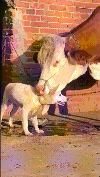 3DM����һ�̵�1636�� �ֵ��������������̾��