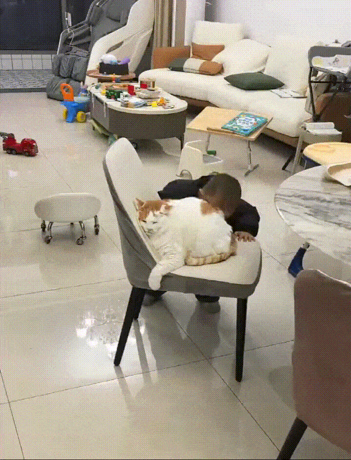 ���帣����ͼ�Ʒ�ϵ�� ˭����Ů�������ĺ�������