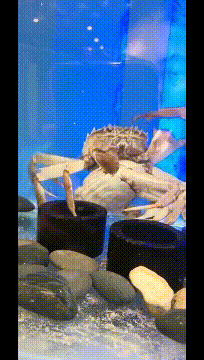 ���帣����ͼ�Ʒ�ϵ�� ˭����Ů�������ĺ�������