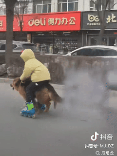 ���帣����ͼ�Ʒ�ϵ�� ˭����Ů�������ĺ�������