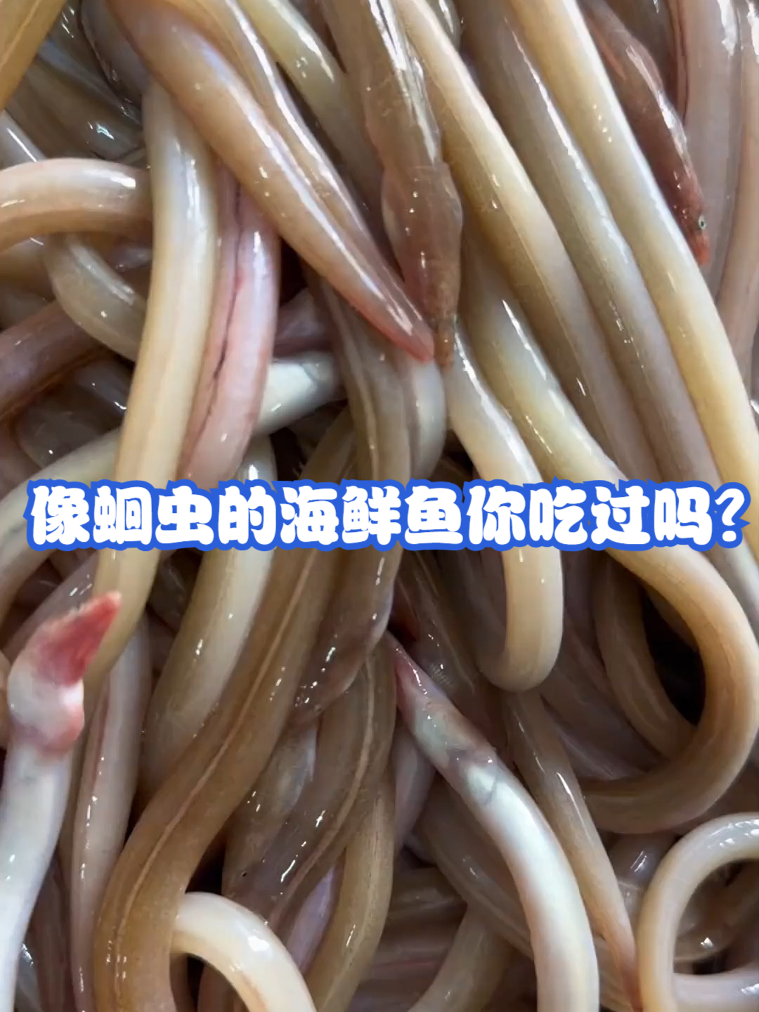 像蛔虫的海鲜鱼你吃过吗?