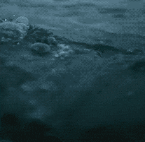 3DM����һ�̵�1640�� ���ڹۿ���Ů�������ǿֻ�