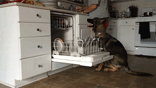 3DM����һ�̵�1640�� ���ڹۿ���Ů�������ǿֻ�