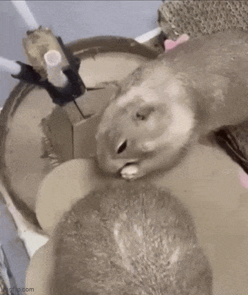 3DM����һ�̵�1640�� ���ڹۿ���Ů�������ǿֻ�