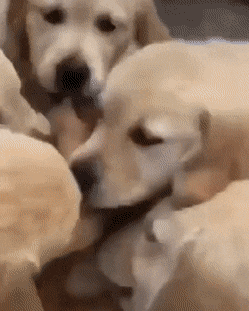 3DM����һ�̵�1640�� ���ڹۿ���Ů�������ǿֻ�