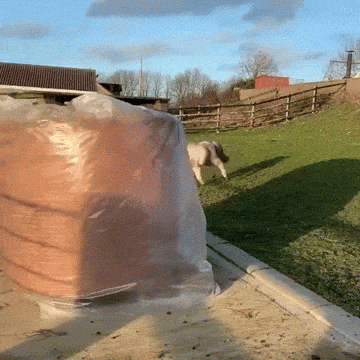 3DM����һ�̵�1640�� ���ڹۿ���Ů�������ǿֻ�