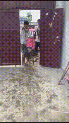 ��һ�ں���ͼ�Ʒ�ϵ�� Ů��������ʲôϷ��ô�ң�