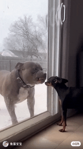 ��һ�ں���ͼ�Ʒ�ϵ�� Ů��������ʲôϷ��ô�ң�