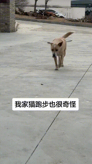 3DM����һ�̵�1640�� ���ڹۿ���Ů�������ǿֻ�