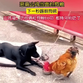 ��һ�ں���ͼ�Ʒ�ϵ�� Ů��������ʲôϷ��ô�ң�