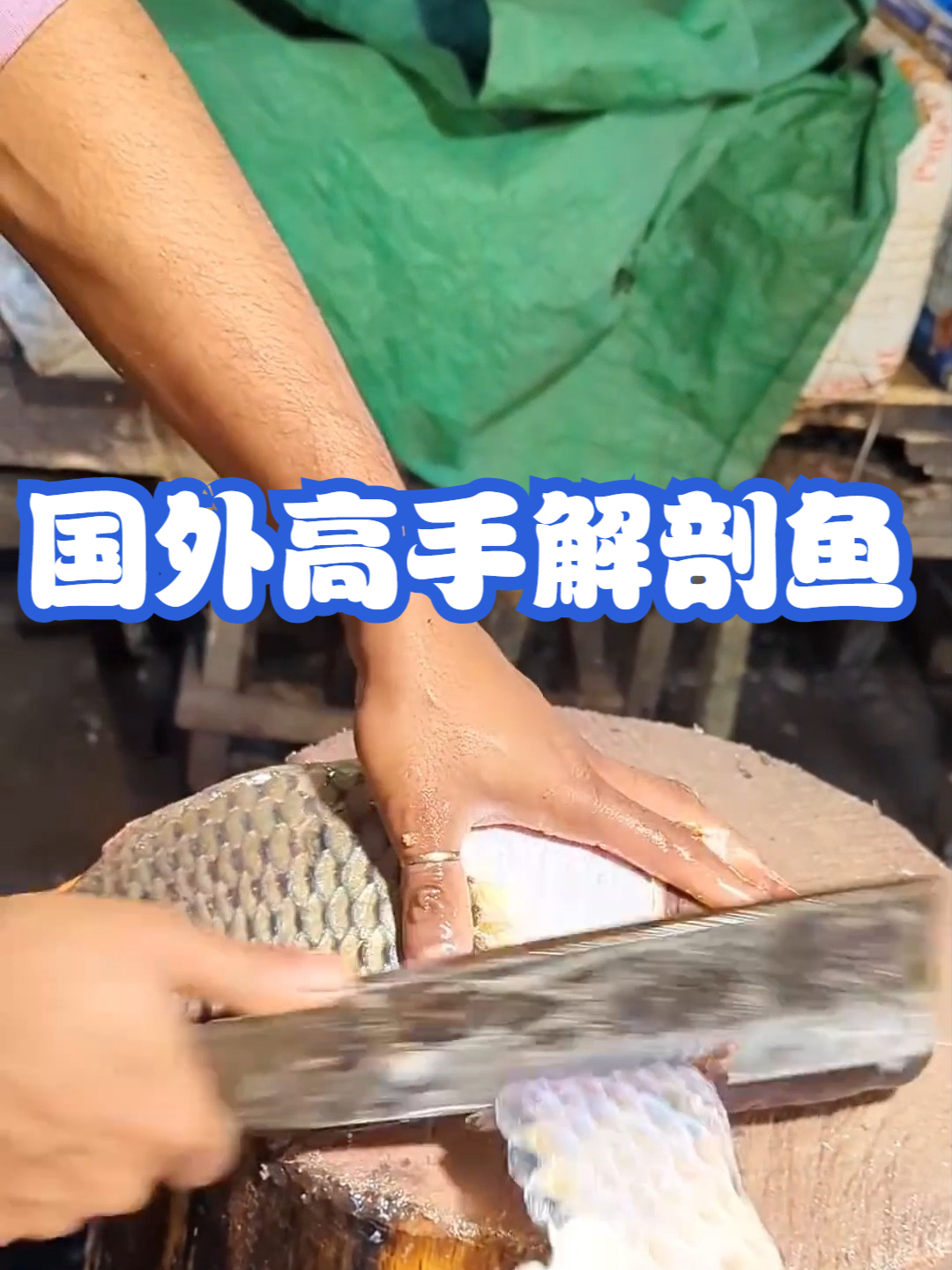 国外高手解剖鱼