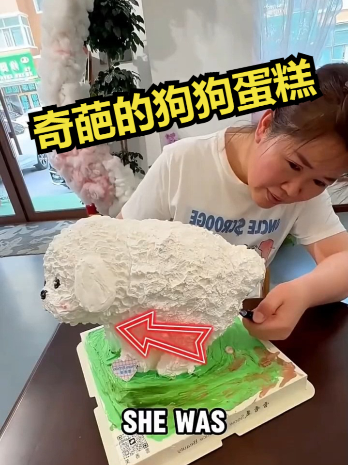 奇葩的狗狗蛋糕！