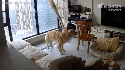 ��һ�ں���ͼ�Ʒ�ϵ�� Ů��������ʲôϷ��ô�ң�