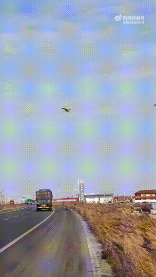 3DM����һ�̵�1642�� ��Ů��β��Ϊ�λ��Զ�����