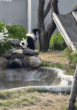 ��һ�ں���ͼ�Ʒ�ϵ�� Ů��������ʲôϷ��ô�ң�