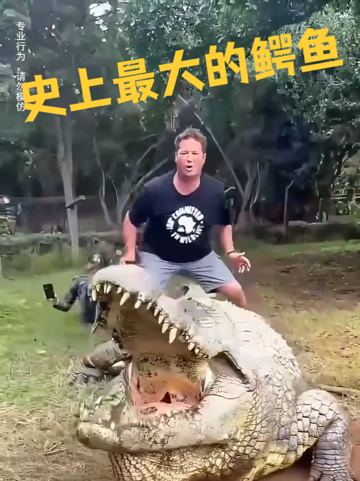 史上最大的鳄鱼,长得真的太吓人了