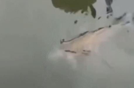 ���帣����ͼ�Ʒ�ϵ�� ����һ��������ɧ��ȫ����