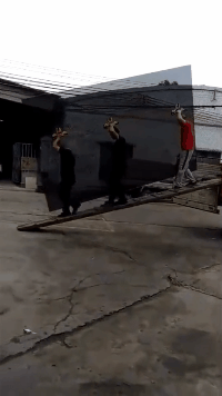 ���帣����ͼ�Ʒ�ϵ�� ����һ��������ɧ��ȫ����