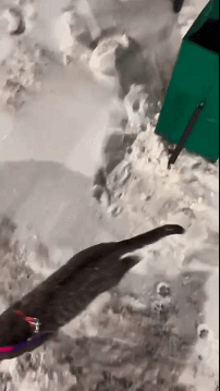 ���帣����ͼ�Ʒ�ϵ�� ����һ��������ɧ��ȫ����