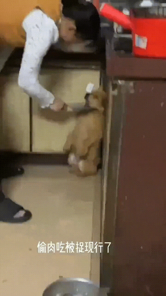 ���帣����ͼ�Ʒ�ϵ�� ����һ��������ɧ��ȫ����