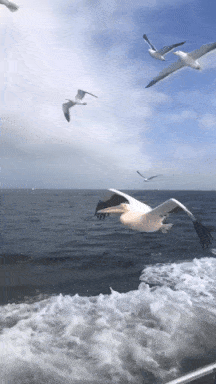 3DM����һ�̵�1644�� ��˿��Ů�ڴ������н���