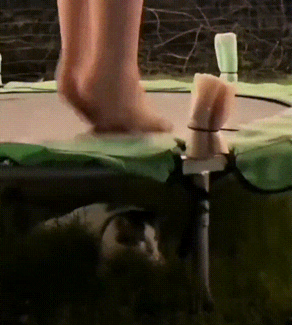 3DM����һ�̵�1643�� ��Щֱ������������