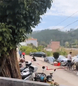 ��һ�ں���ͼ�Ʒ�ϵ�� ��Ů���·����������㽡��