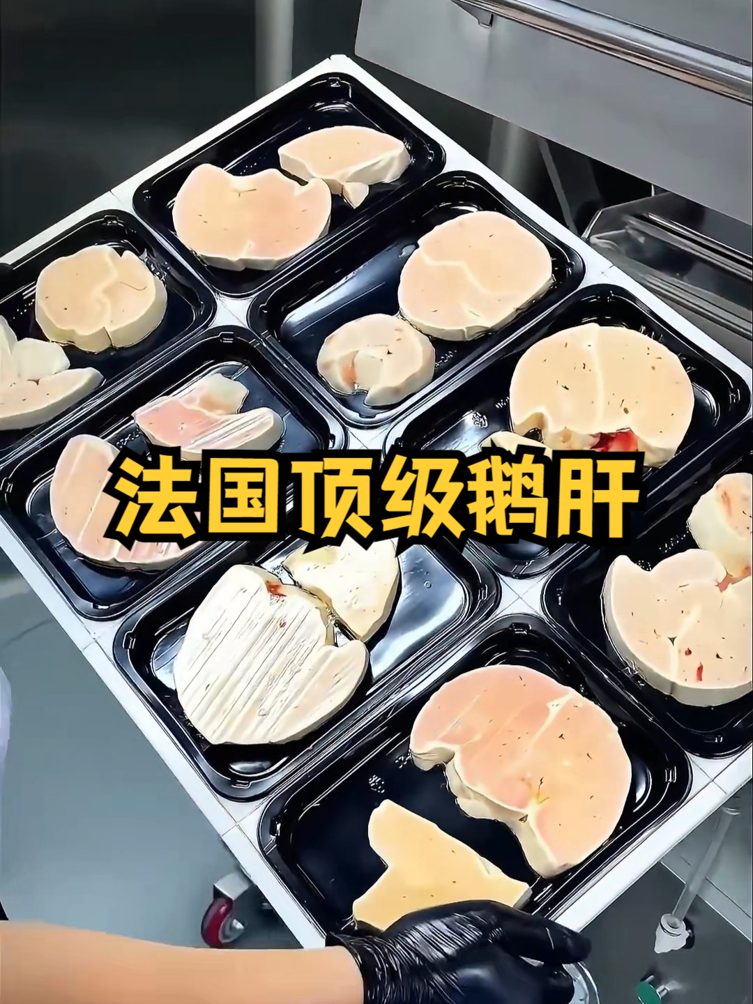 法国顶级鹅肝你吃的起吗