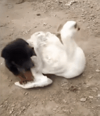 ���帣����ͼ�Ʒ�ϵ�� Ů����ҹ��į������������