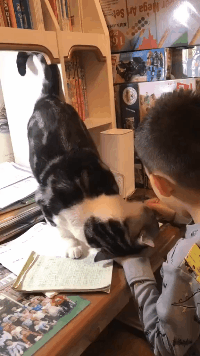 3DM����һ�̵�1653�� ������ż����˿��Ƭ�Ⱥӣ�