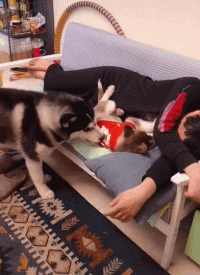 3DM����һ�̵�1653�� ������ż����˿��Ƭ�Ⱥӣ�