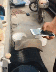 3DM����һ�̵�1653�� ������ż����˿��Ƭ�Ⱥӣ�