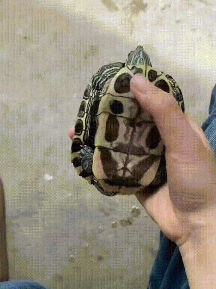 ���帣����ͼ�Ʒ�ϵ�� Ů����ҹ��į������������