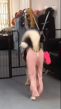 3DM����һ�̵�1656�� ��Ů��ô����Ұ�����ࣿ